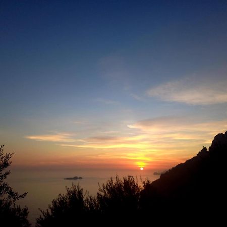L'Uliveto Bed and Breakfast Positano Exteriör bild