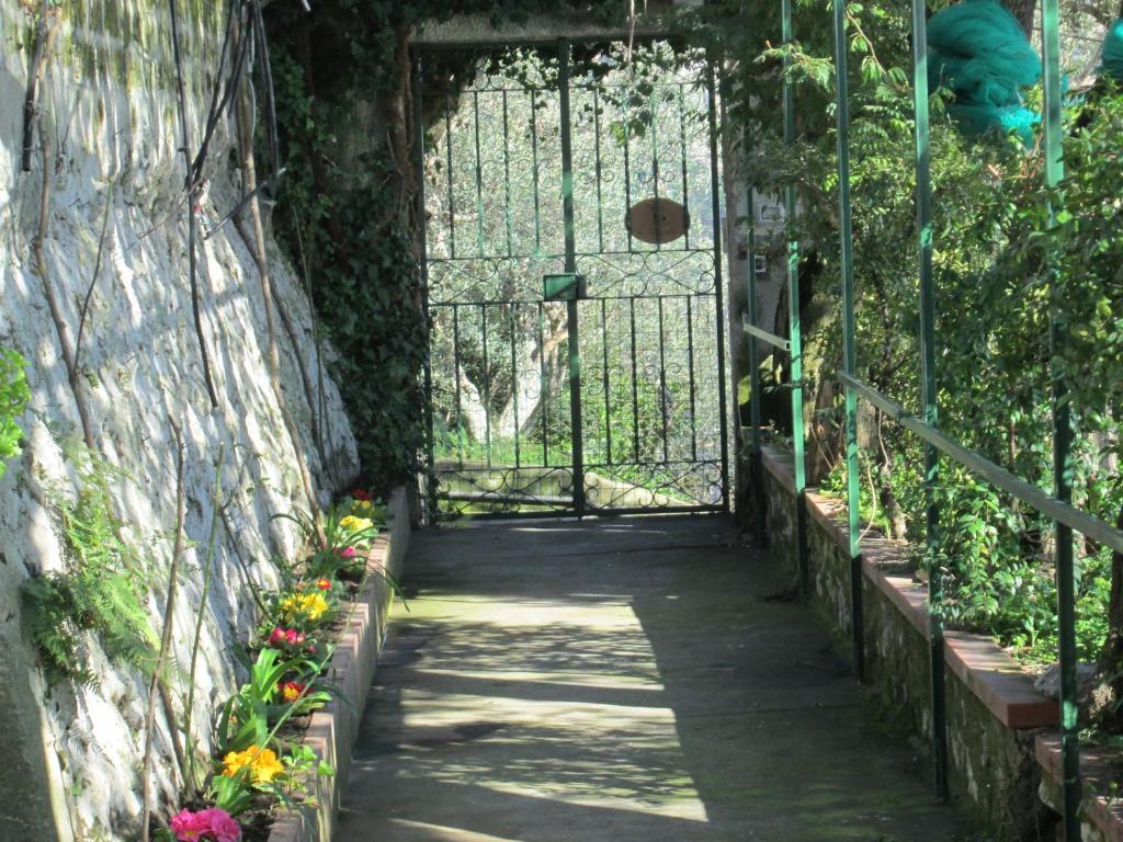 L'Uliveto Bed and Breakfast Positano Exteriör bild