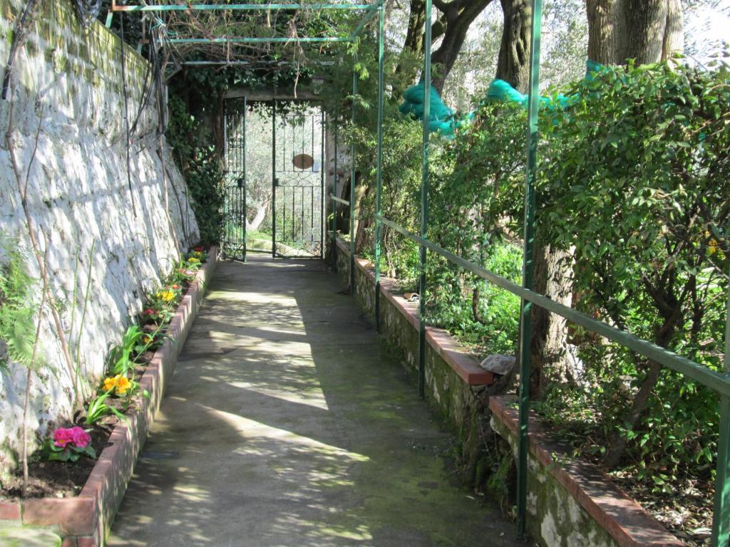 L'Uliveto Bed and Breakfast Positano Exteriör bild