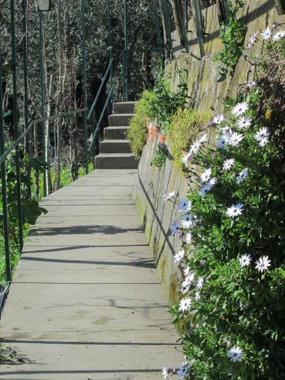 L'Uliveto Bed and Breakfast Positano Exteriör bild