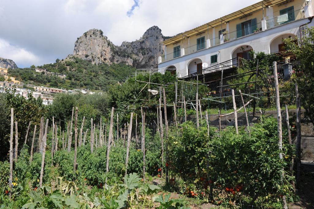 L'Uliveto Bed and Breakfast Positano Exteriör bild