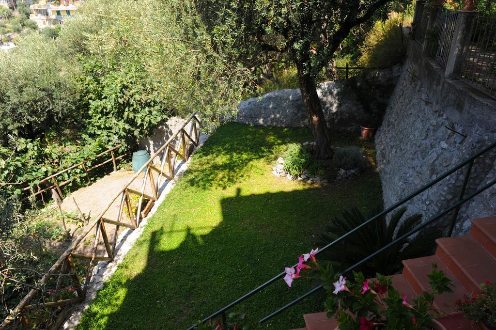 L'Uliveto Bed and Breakfast Positano Exteriör bild